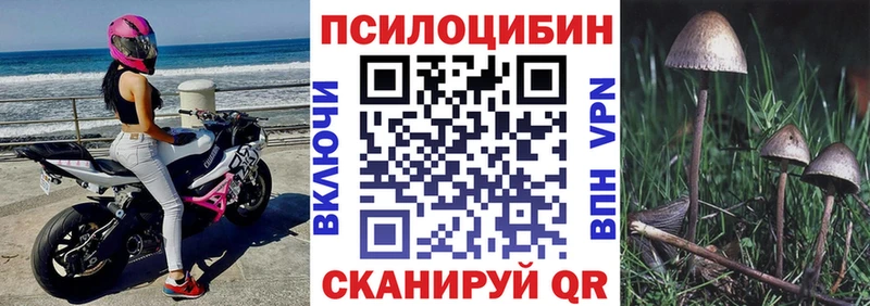 Псилоцибиновые грибы мицелий  гидра ТОР  Алдан 